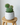 33cm artificial barrel cactus