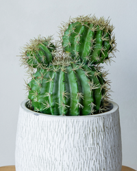 33cm artificial barrel cactus