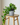 65cm Potted Artificial Pothos