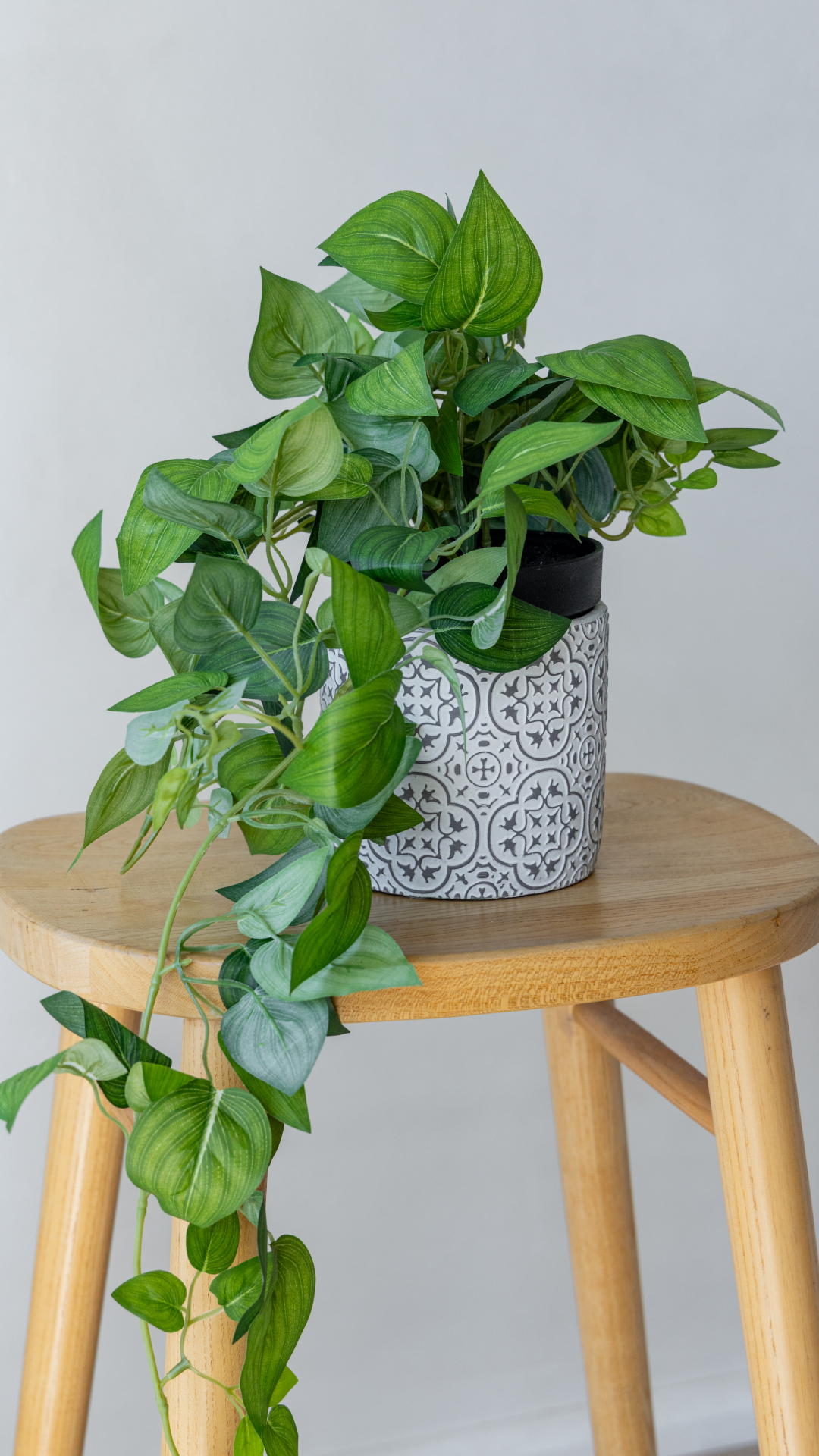 65cm Potted Artificial Pothos