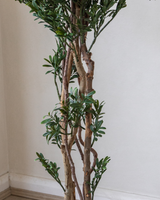 90cm Potted Artificial Podocarpus Plant