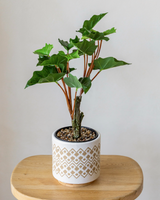 40cm Potted Artificial Arrowhead Greenery