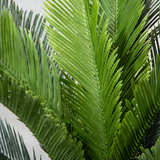 110cm Potted Artificial Cycas Palm