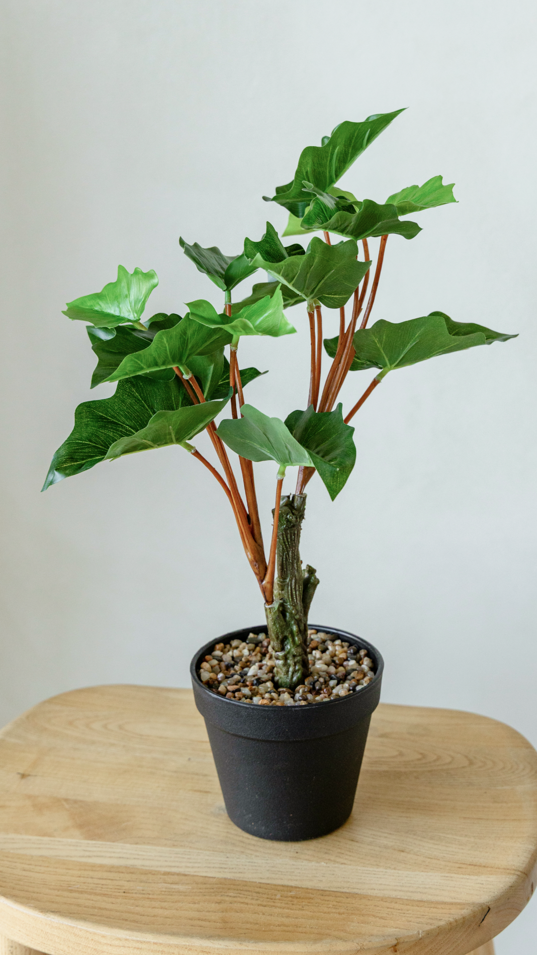 40cm Potted Artificial Arrowhead Greenery