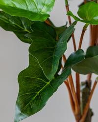 40cm Potted Artificial Arrowhead Greenery