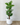 160cm Potted Artificial Monstera