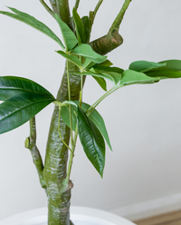 150cm Artificial Wealth Tree