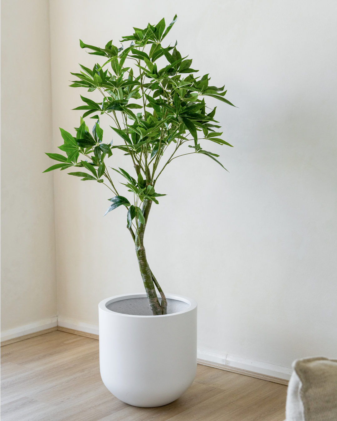 150cm Artificial Wealth Tree