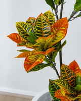 150cm Potted Artificial Croton