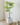 Artificial Elm Tree