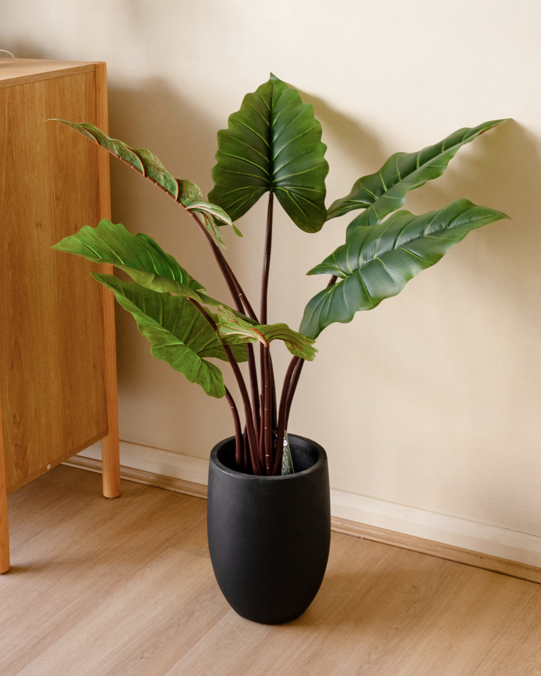 Minimal studio bundle