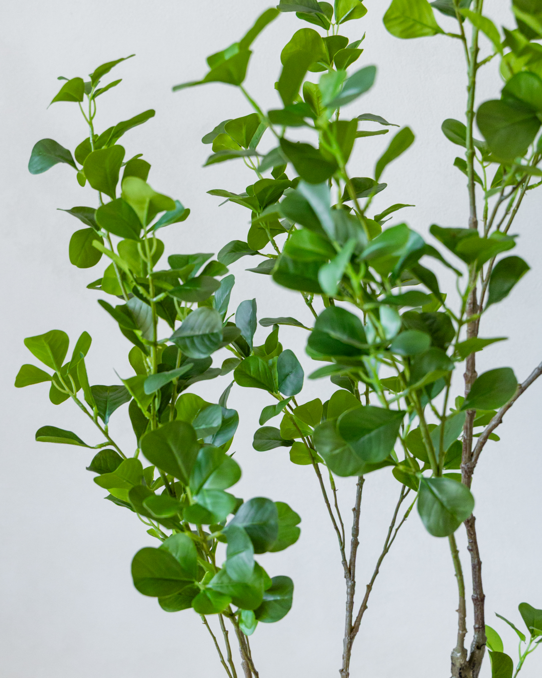 150cm Artificial Banyan Tree