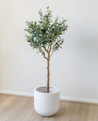 150cm Potted Artificial Olive Tree