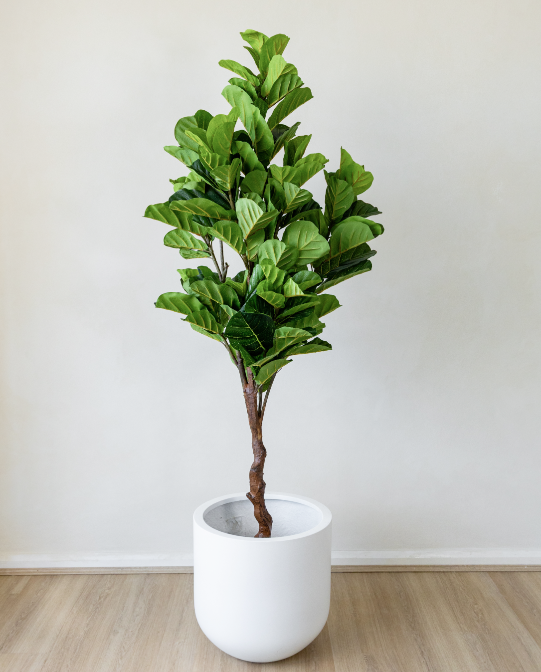 180cm Potted Artificial Fiddle Leaf