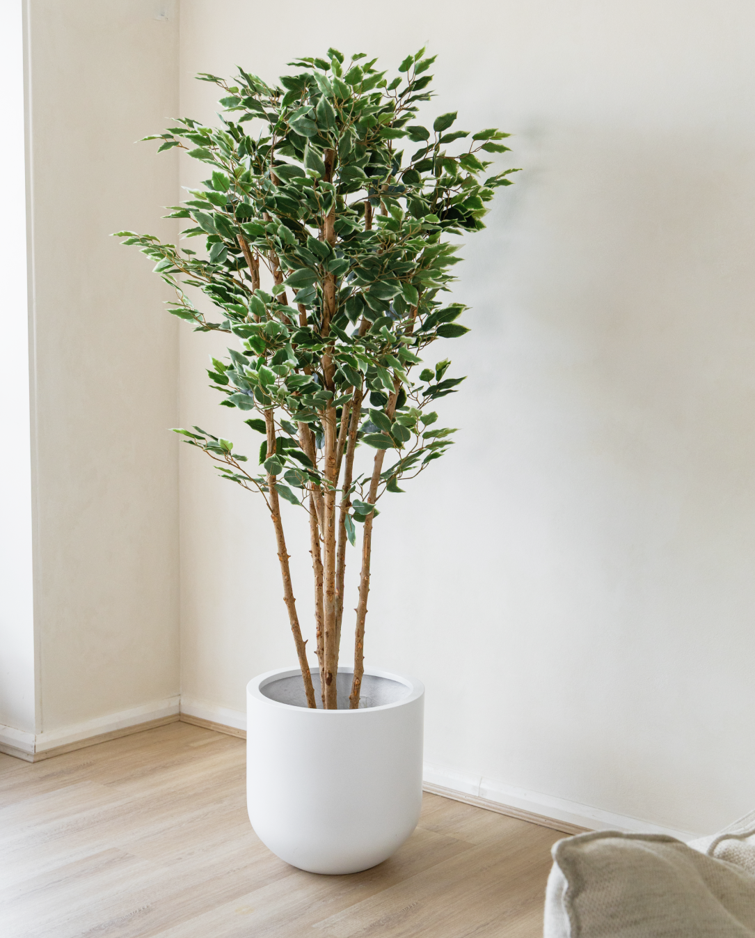 180cm Potted Artificial Ficus Tree
