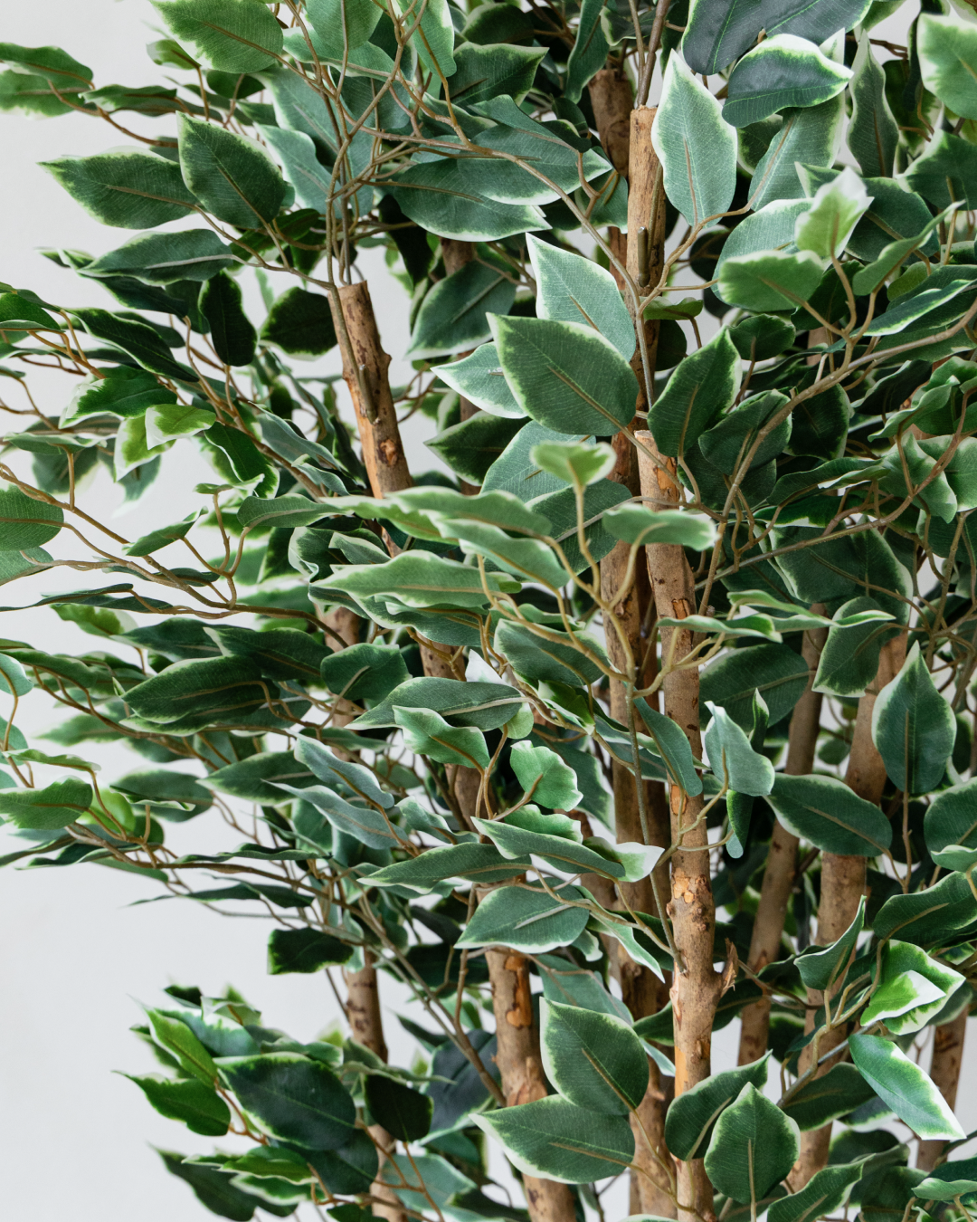 180cm Potted Artificial Ficus Tree