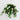 50cm Artificial Geranium
