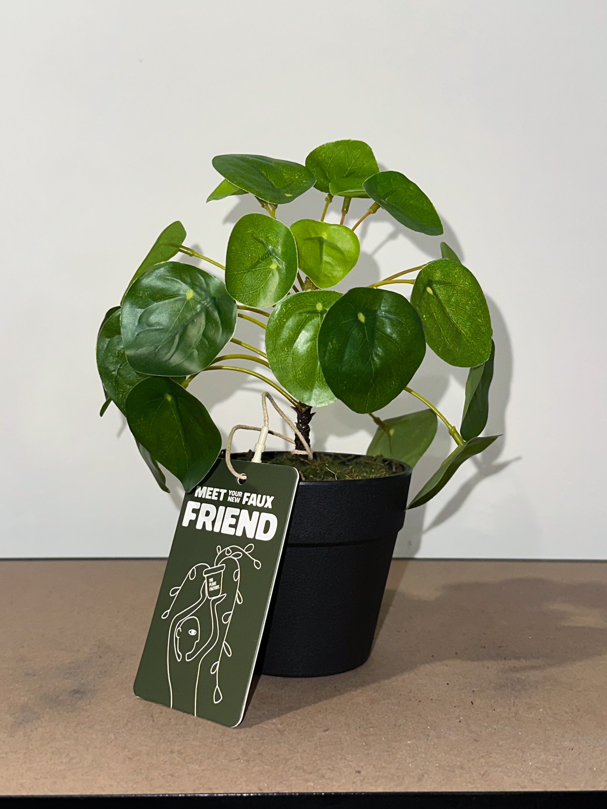 20cm Artificial Chinese Money Plant