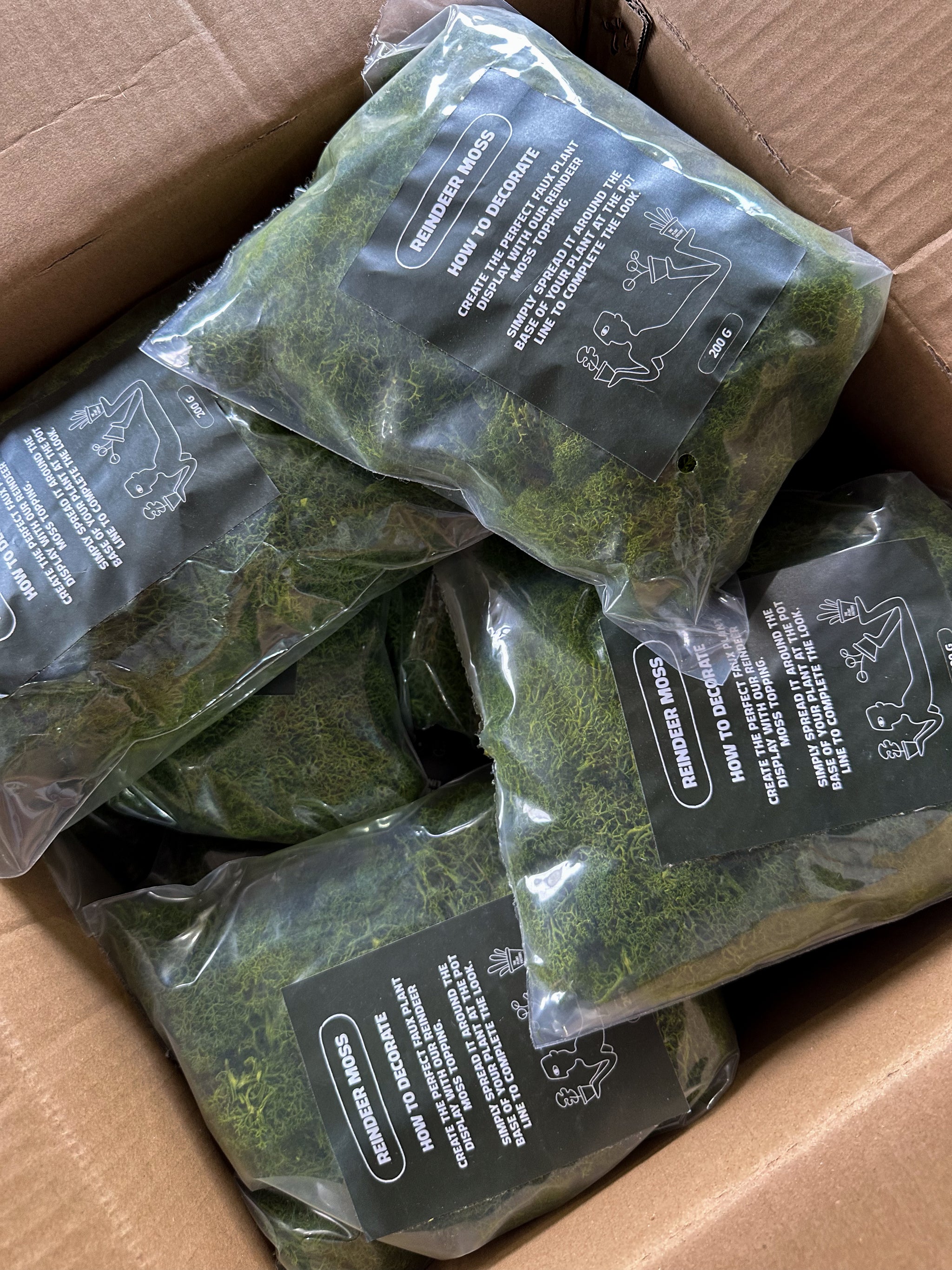 Preserved Moss (200g)