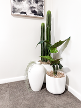 110cm Artificial Cactus