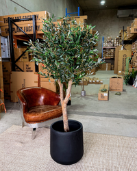 155cm Artificial Olive Tree
