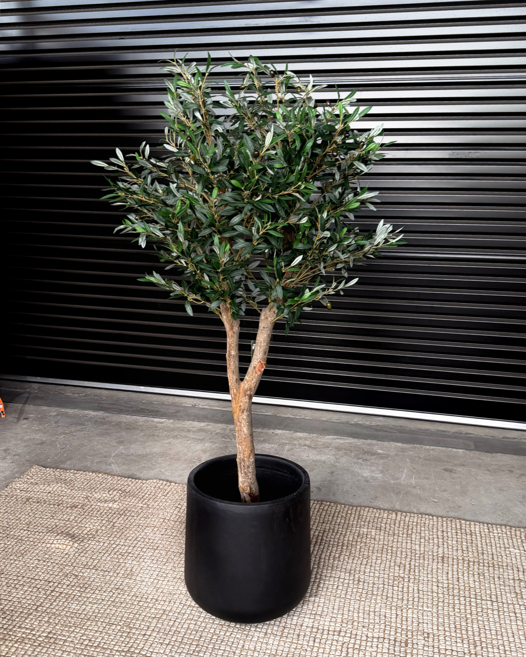 155cm Artificial Olive Tree