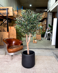 155cm Artificial Olive Tree