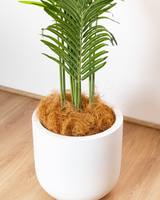 200cm Artificial Palm Tree