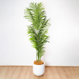 200cm Artificial Palm Tree