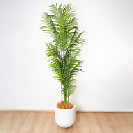 200cm Artificial Palm Tree