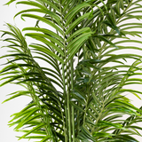 200cm Artificial Palm Tree