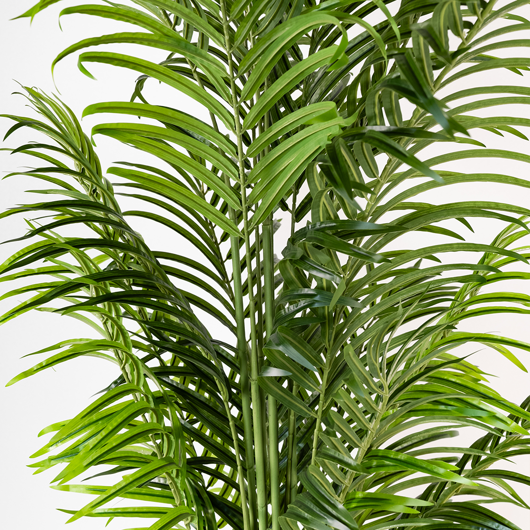200cm Artificial Palm Tree