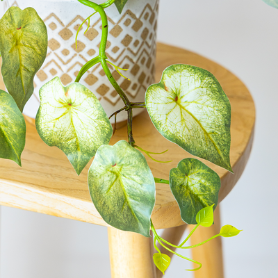 60cm Potted Artificial Pothos