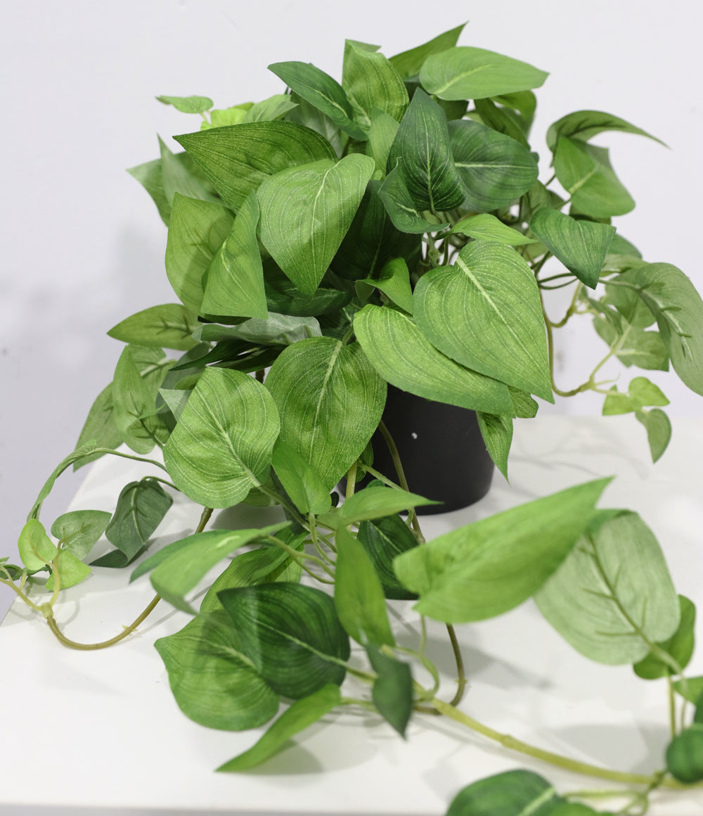 43cm Potted Artificial Pothos