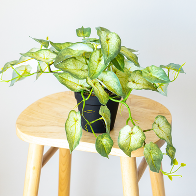 60cm Potted Artificial Pothos