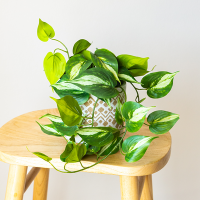 45cm Potted Artificial Pothos