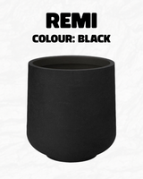 Remi