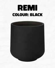 Remi