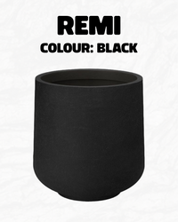 Remi
