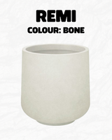 Remi
