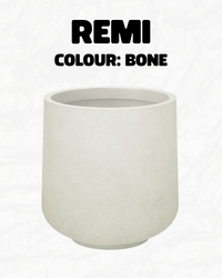 Remi