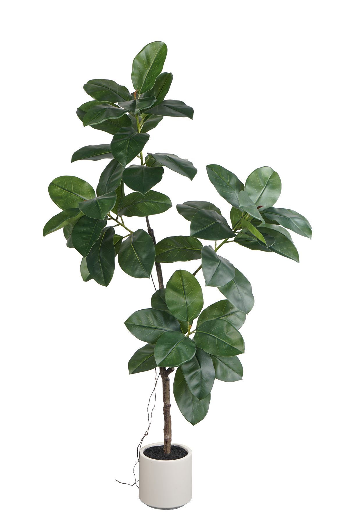 160cm Artificial Rubber Tree