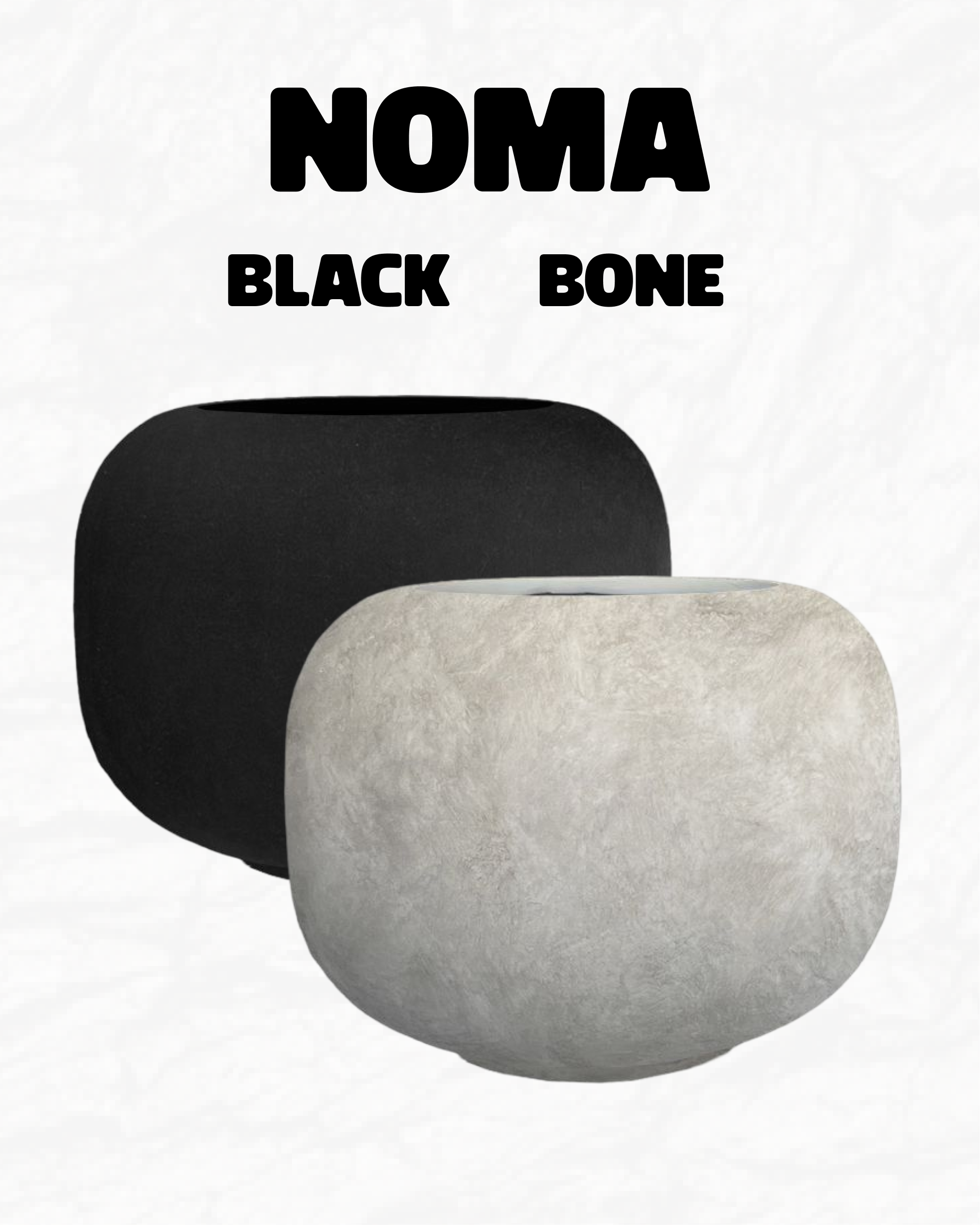 Noma