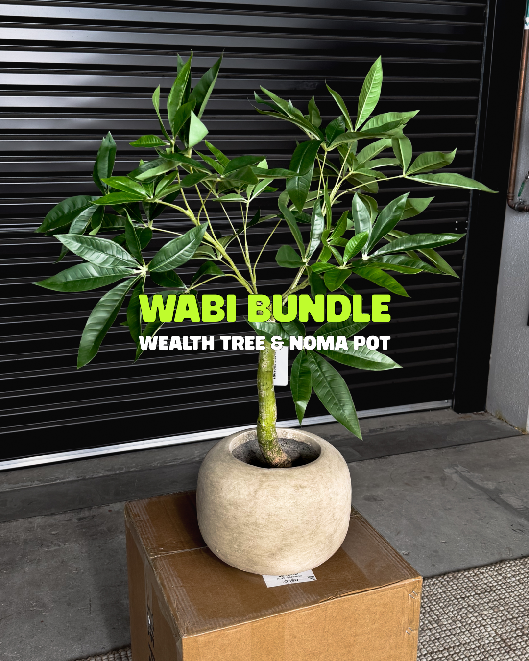 Wabi Bundle