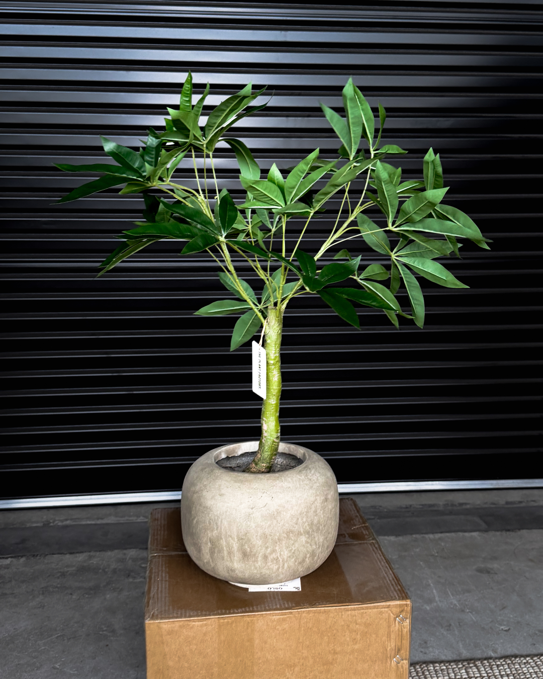 90cm Artificial Wealth Tree