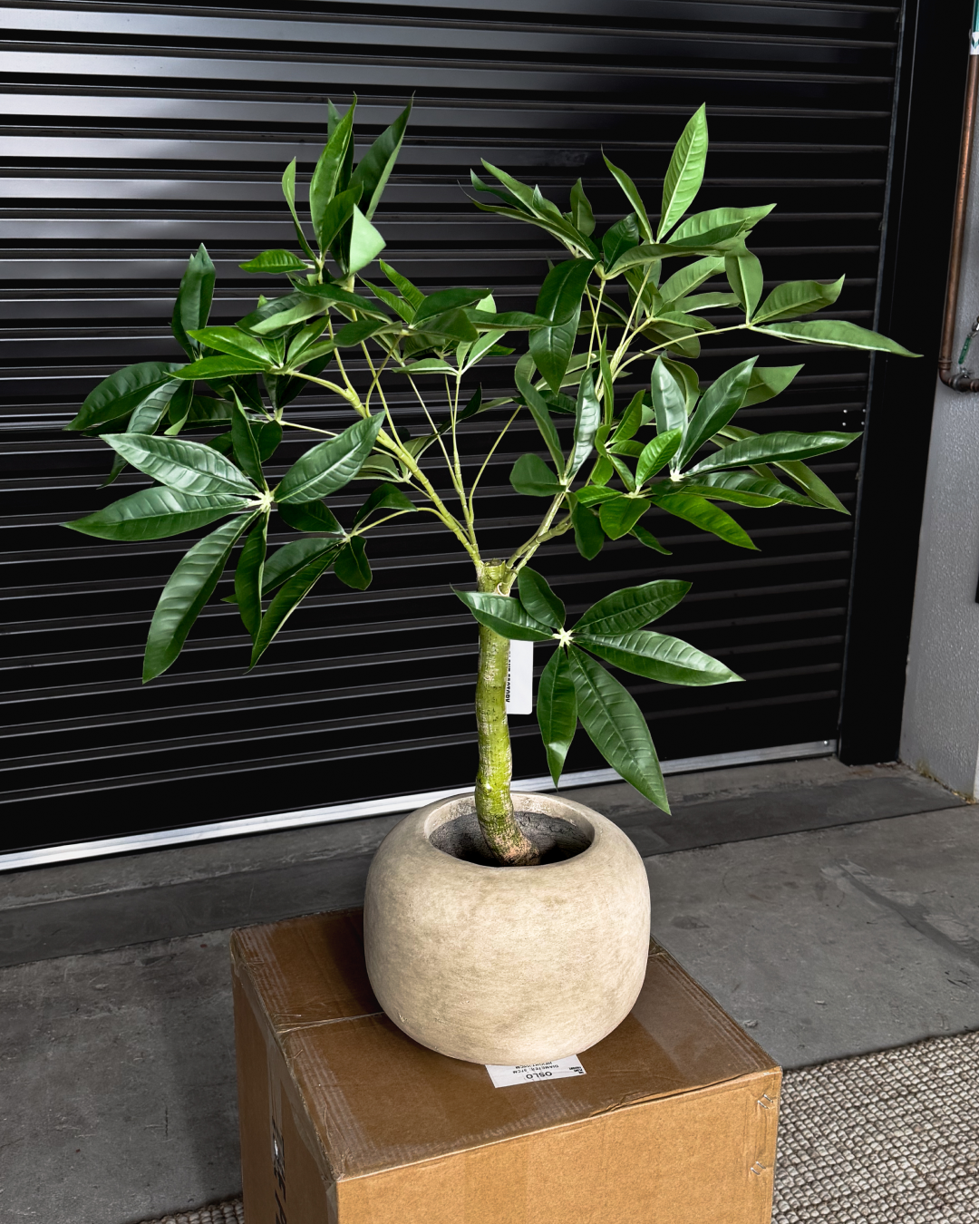 90cm Artificial Wealth Tree