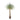 155cm Artificial Yucca
