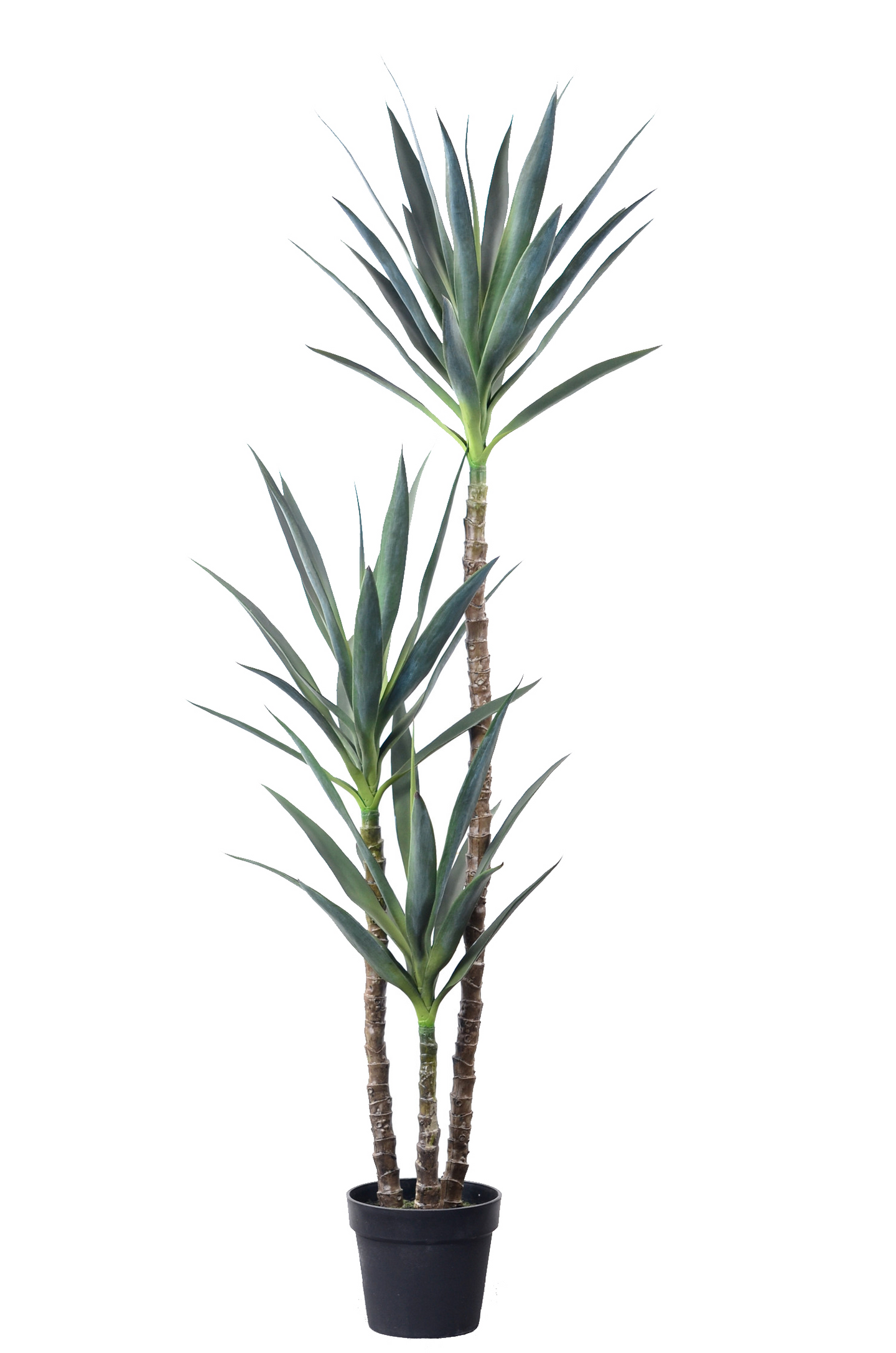 160cm Artificial Yucca