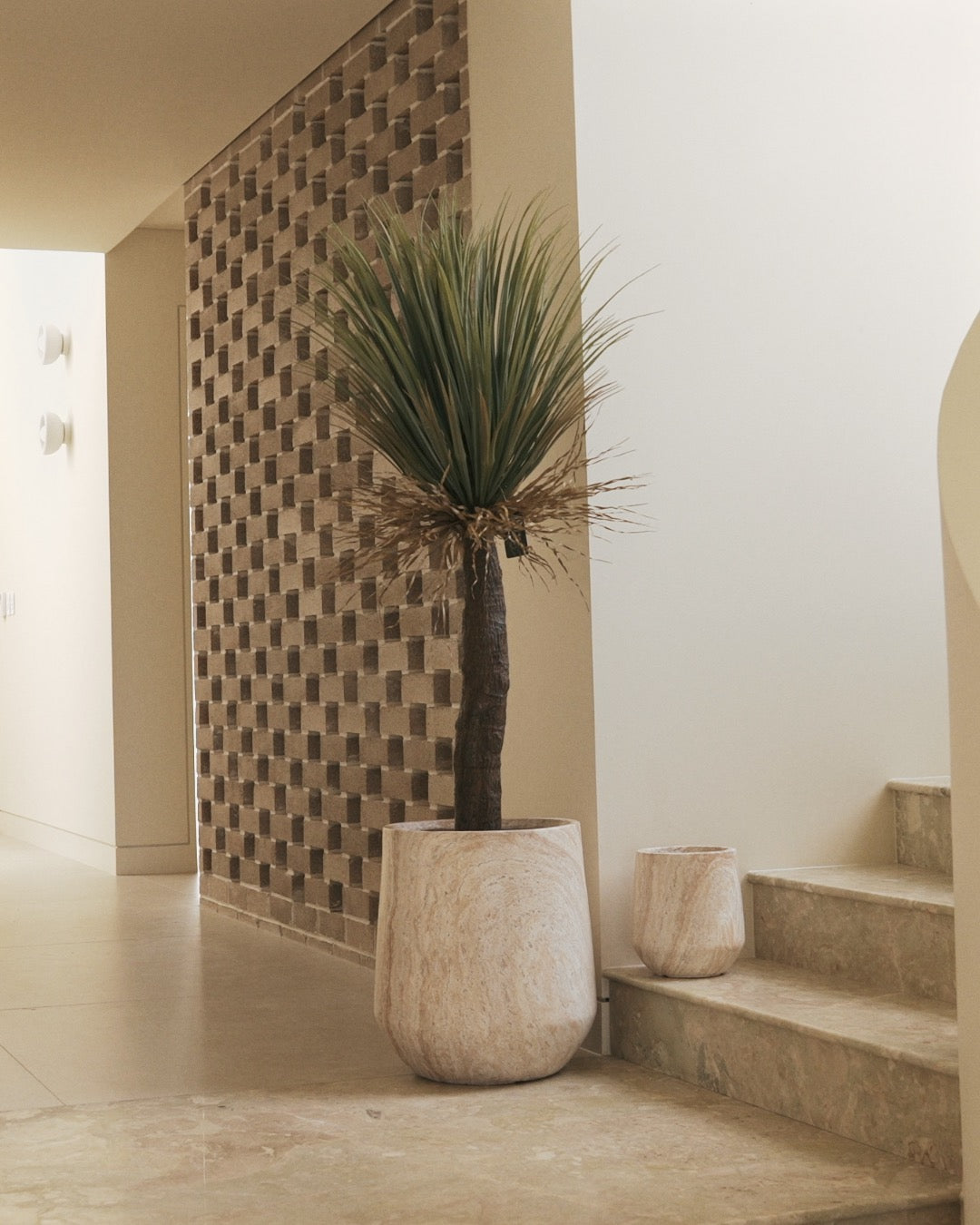 155cm Artificial Yucca