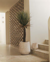 155cm Artificial Yucca